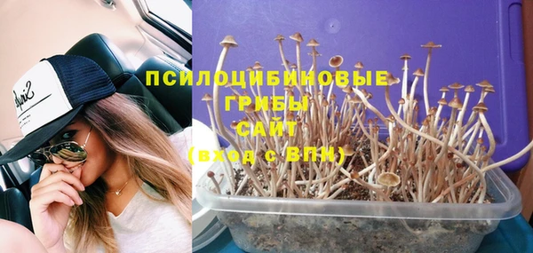 ГАЛЛЮЦИНОГЕННЫЕ ГРИБЫ Бронницы
