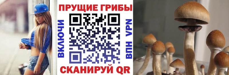 Псилоцибиновые грибы ЛСД  купить наркоту  Бугуруслан 