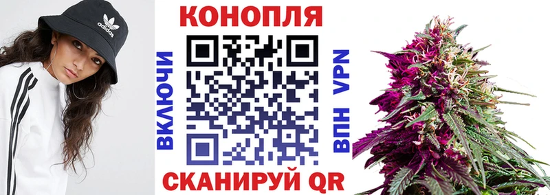 МЕГА ТОР  Бугуруслан  Канабис семена 
